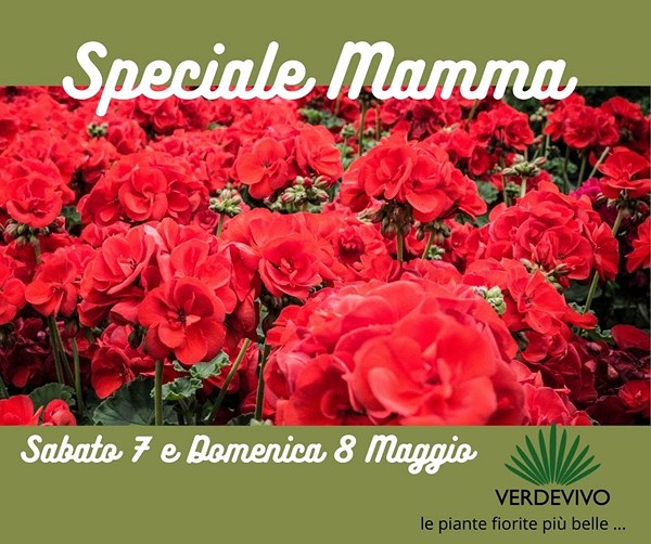Festa della mamma